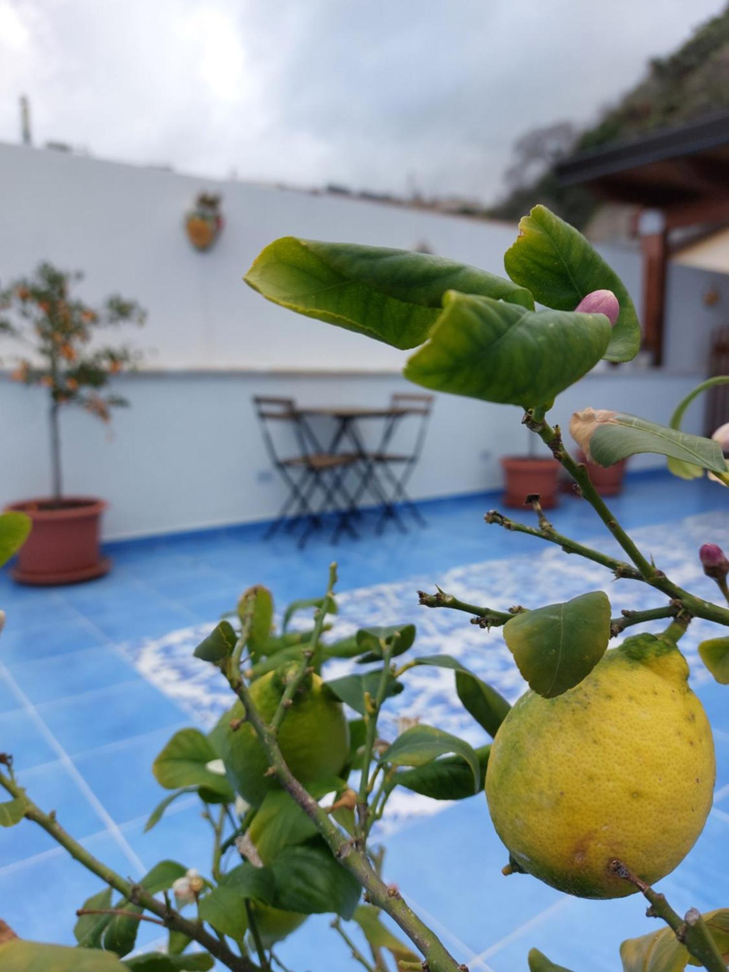 B&B La Filanda Шила Екстериор снимка